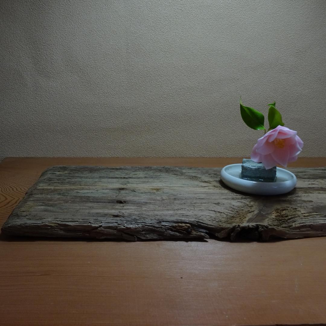 古材　敷板　約54×24cm　花器　盆栽台などに。。。枯れた板