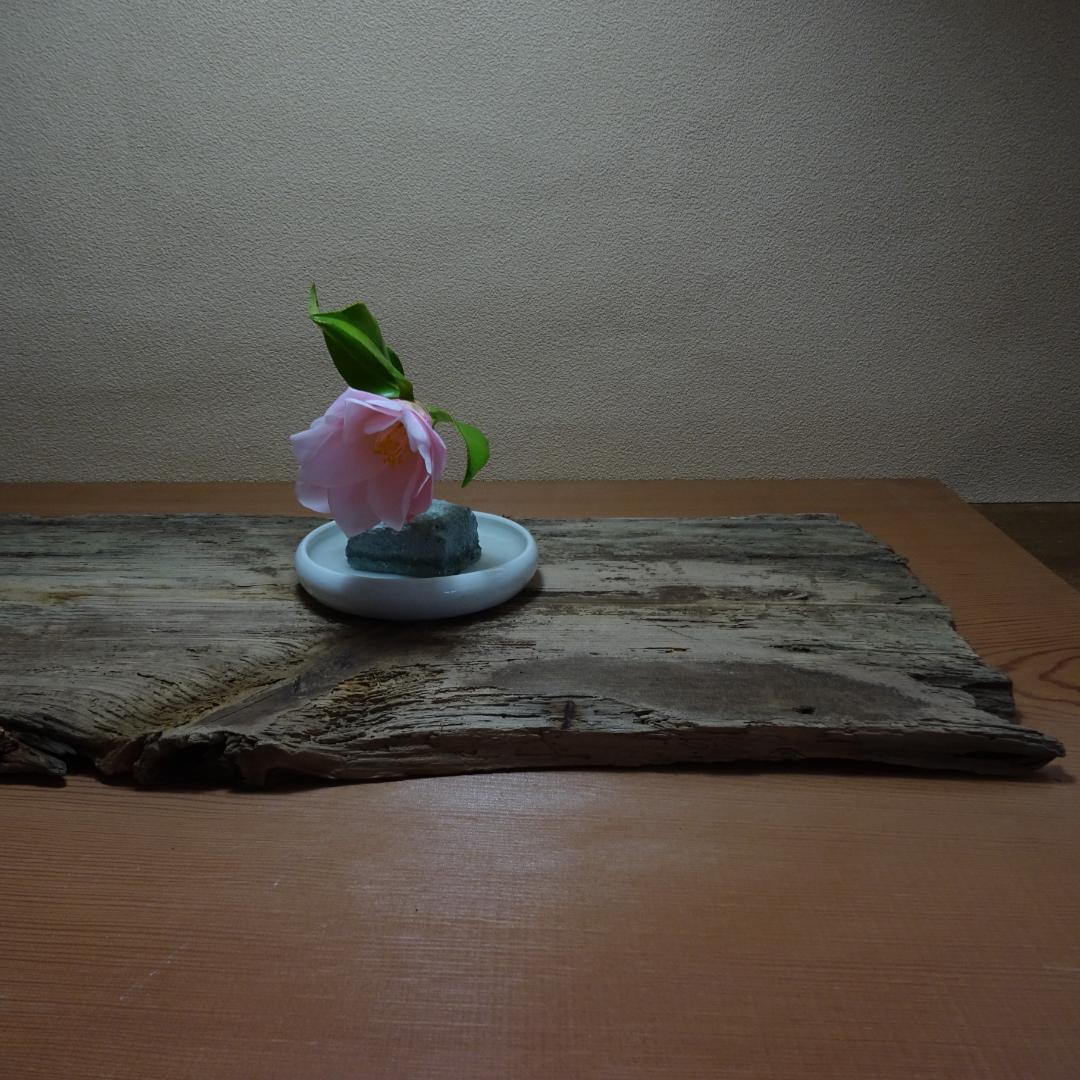古材　敷板　約54×24cm　花器　盆栽台などに。。。枯れた板
