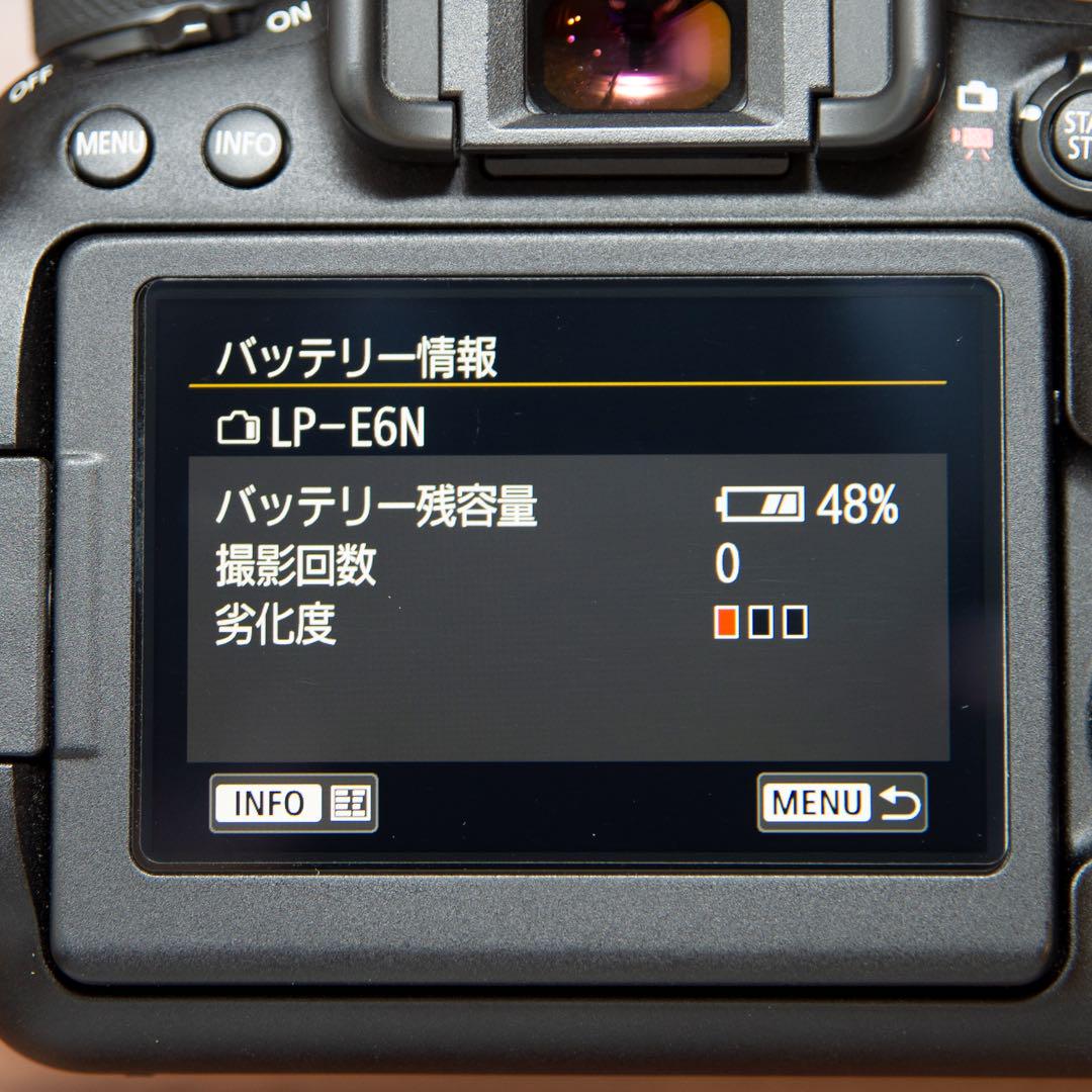 【フジオカ様専用】Canon 6D MarkII バッテリーグリップ付き 画像10