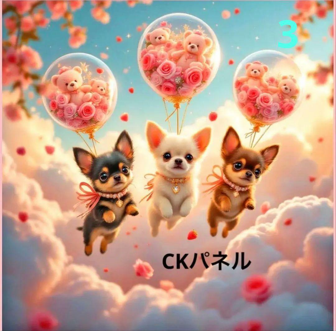 ✿ファスナーポーチちわわ 点分