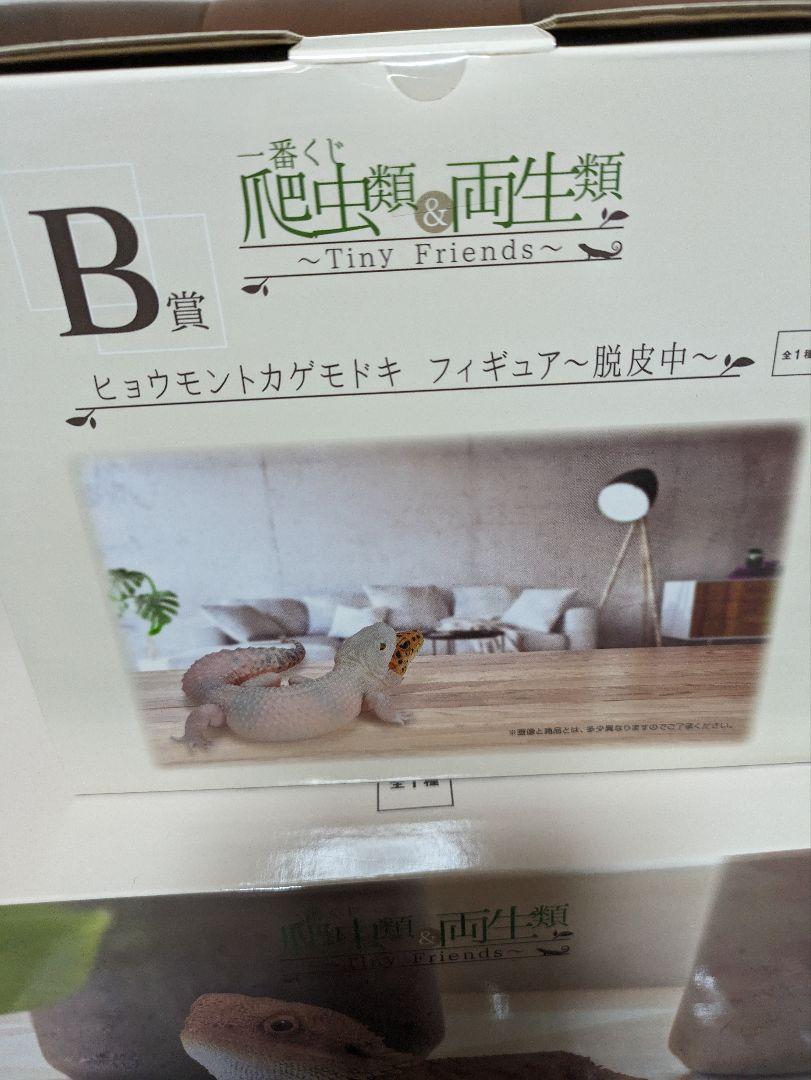 一番くじ爬虫類＆両生類A賞B賞オマケ