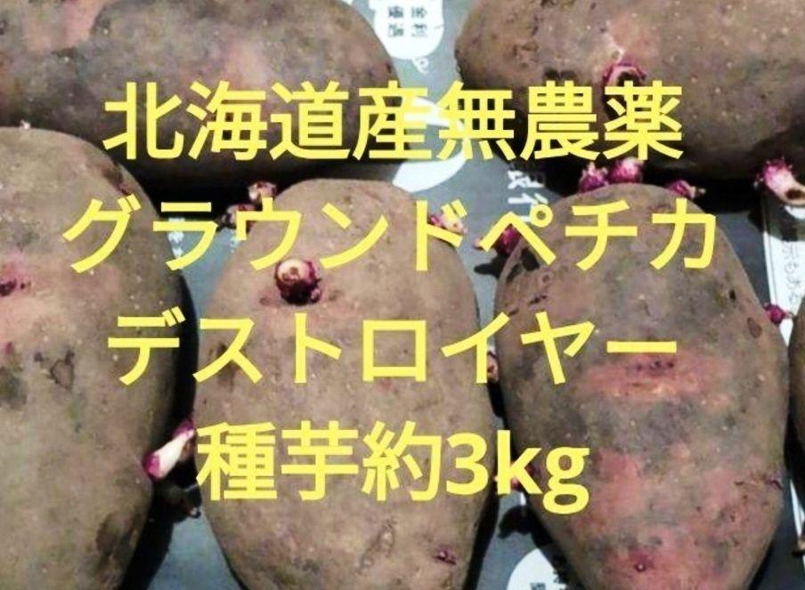 農薬・栽培期間中不使用北海道産無農薬グラウンドペチカデストロイヤー種芋約3kg