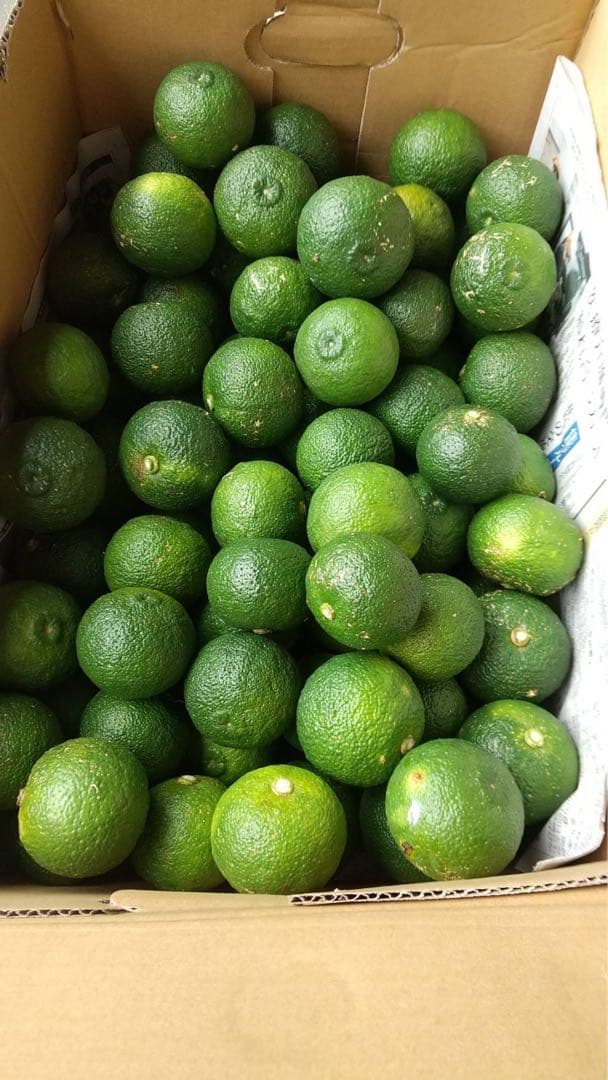 完全無農薬　青ゆず　青柚子　箱込み10kgちょっと入ります！