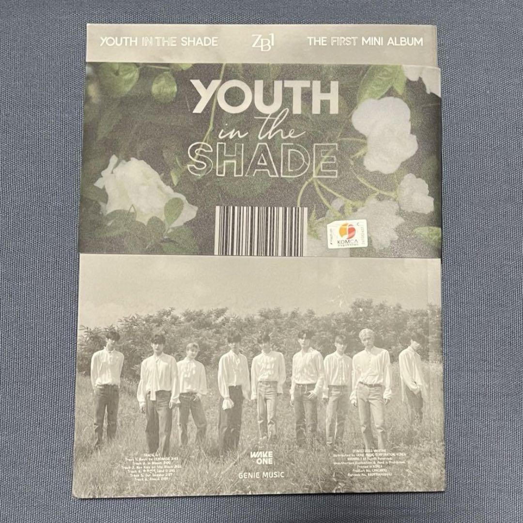 ゼベワン SHADE YOUTH アートブック マシュー ギュビン アルバム