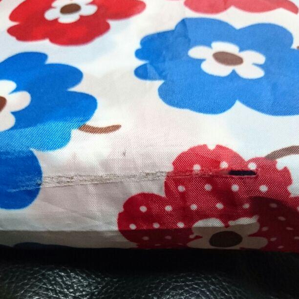 ポコママ確認専用
