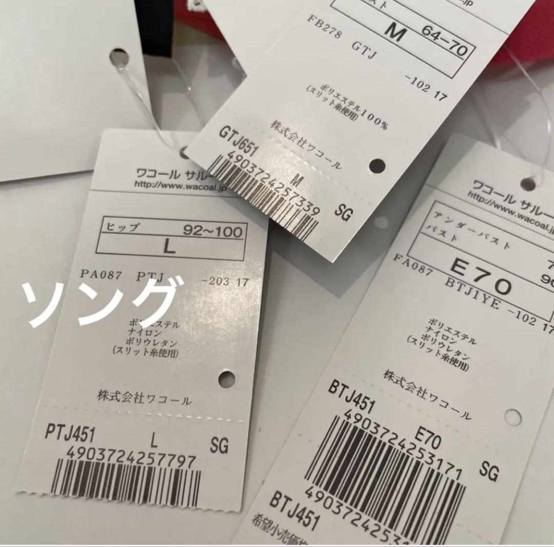 サルート E70/L 3点セット 51 南アフリカSG - メルカリ