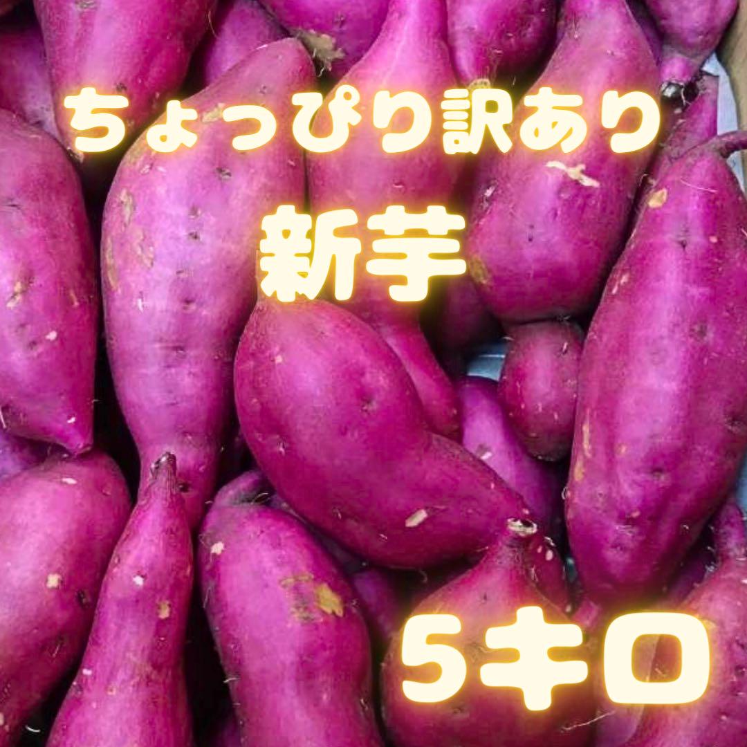 新芋　高知県産　約5キロ　33