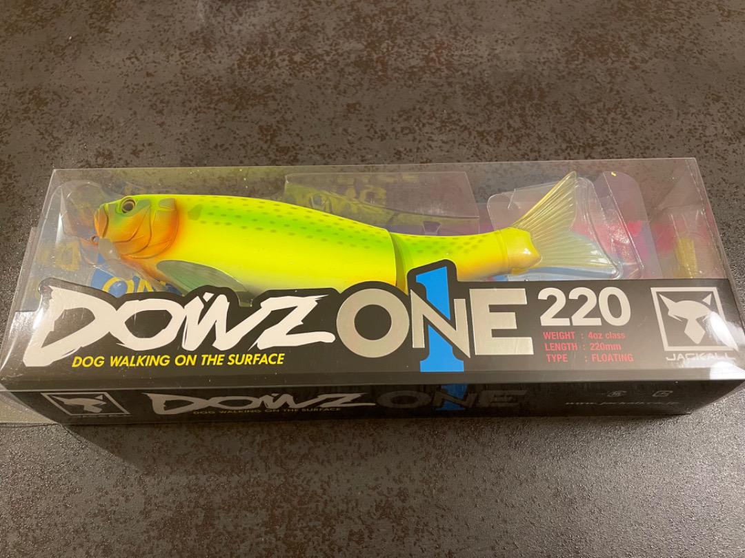 ダウズワン220 コノシロスーパーチャート