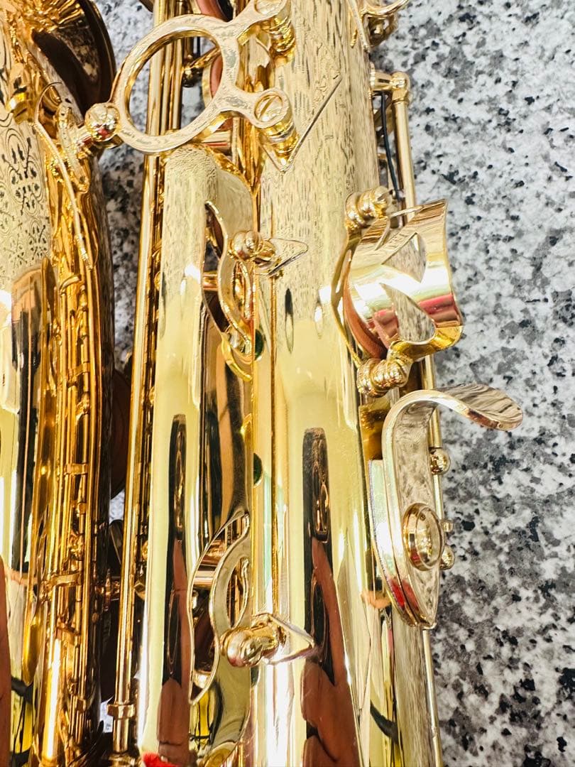 Eastar EAS-Ⅱ アルトサックス 管楽器目立った傷や汚れなし WWW_NOITHATQUANGTHANH_NET