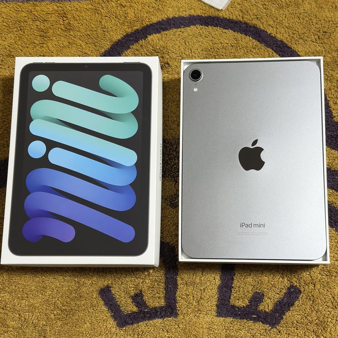 iPad mini