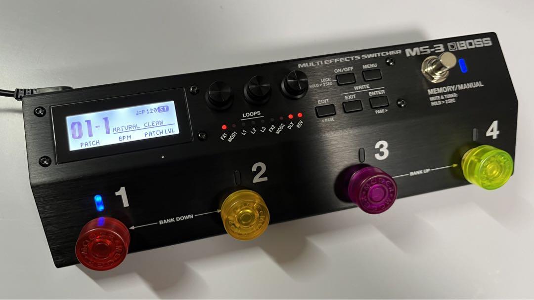 ZAKK WYLDE ZW 45 レア ワウ サイン入り ギター