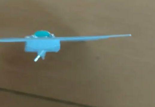 【確認用】セキセイインコピアス