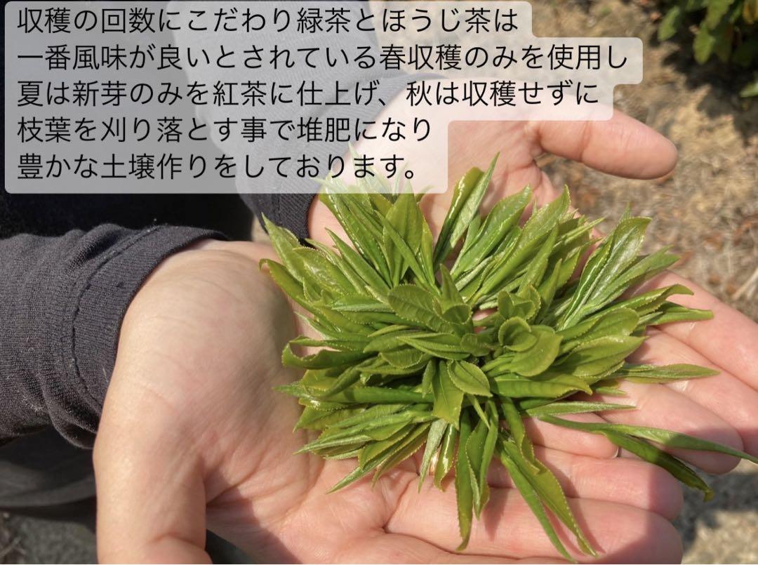 ＊無農薬お茶＊ほうじ玄米茶パウダー　化学肥料不使用　宇治茶100%2023年産 無農薬】ほうじ玄米茶パウダー70g 化学肥料不使用 宇治茶100