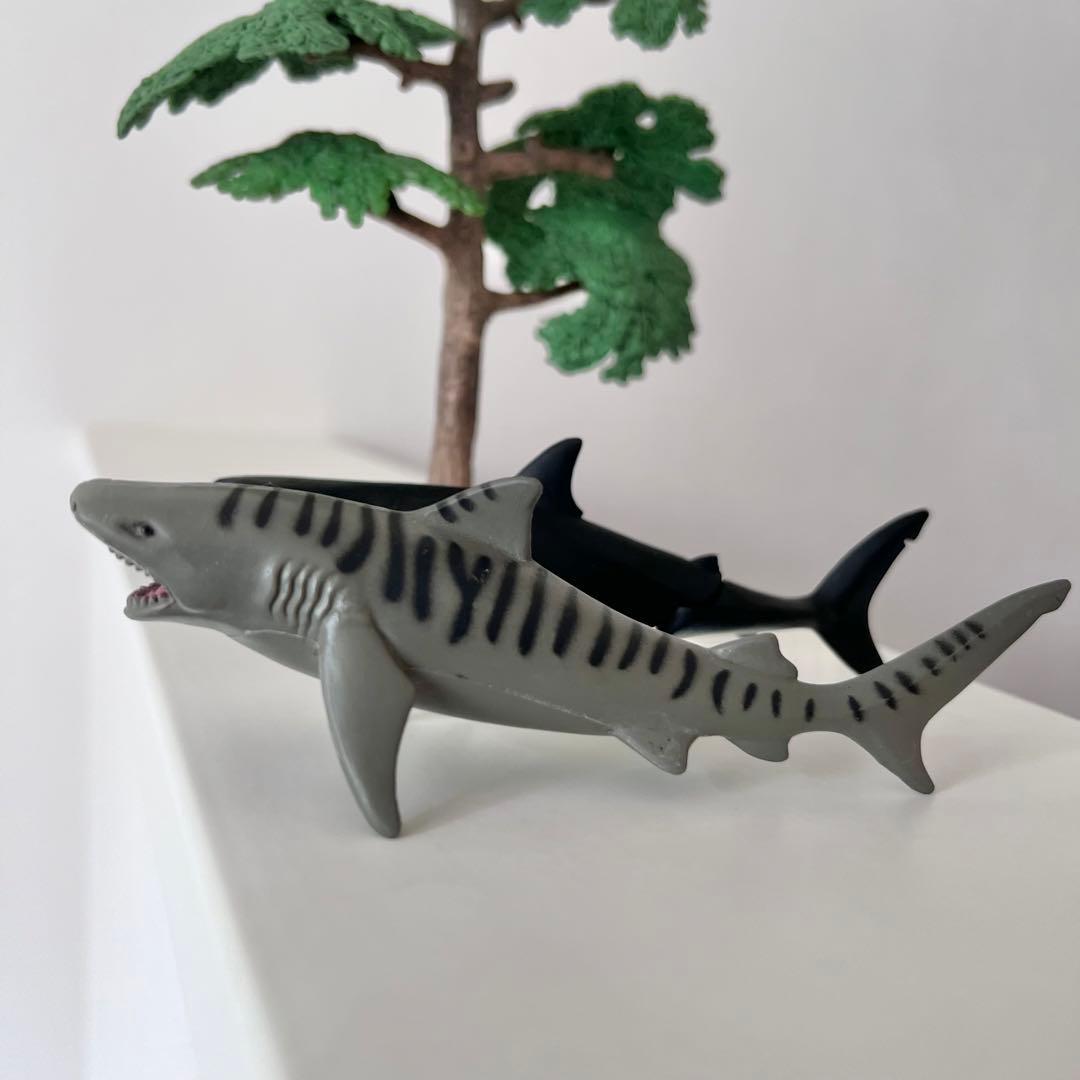 アニア　ホオジロサメ アニア】アニアの水に浮くVer.のホホジロザメを紹介するよ