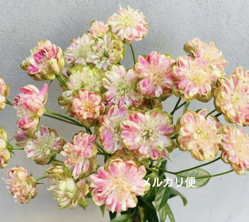 ふぇいと傷や汚れあり