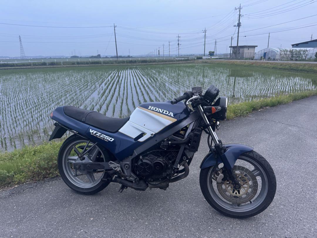 Honda VTZ250