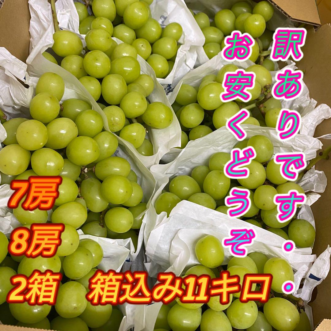 山梨県産　ぶどう　シャインマスカット　訳あり　7房　8房　箱込み11キロ　⑰