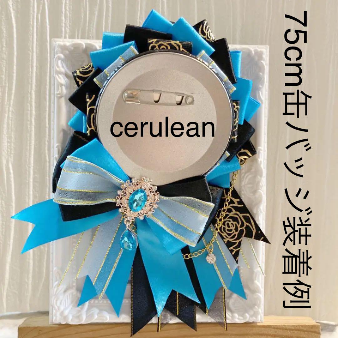 ロゼット⭐︎痛ロゼット⭐︎ハンドメイド⭐︎黒⭐︎水色