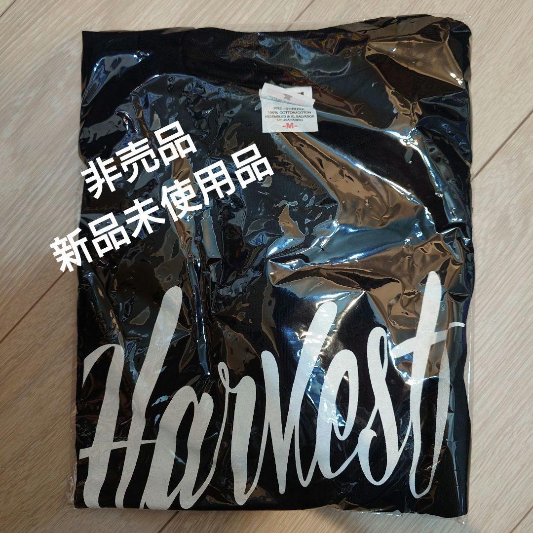 【新品・未使用／非売品】ドラゴンアッシュ  Harvest Tシャツ 降谷建志