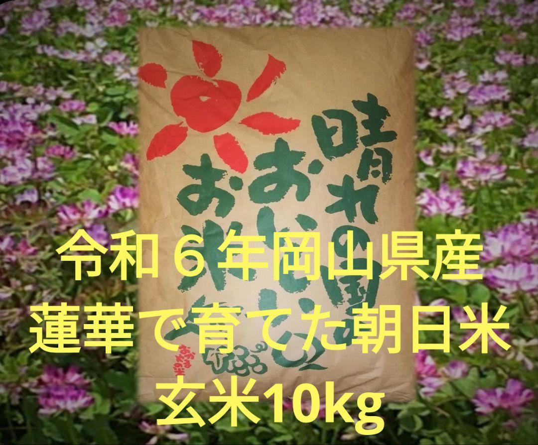 令和6年岡山県産 朝日米 玄米 10kg