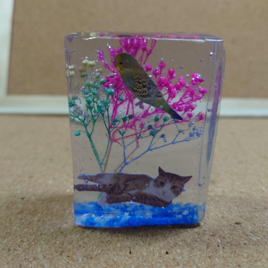 セキセイインコと猫 絵画