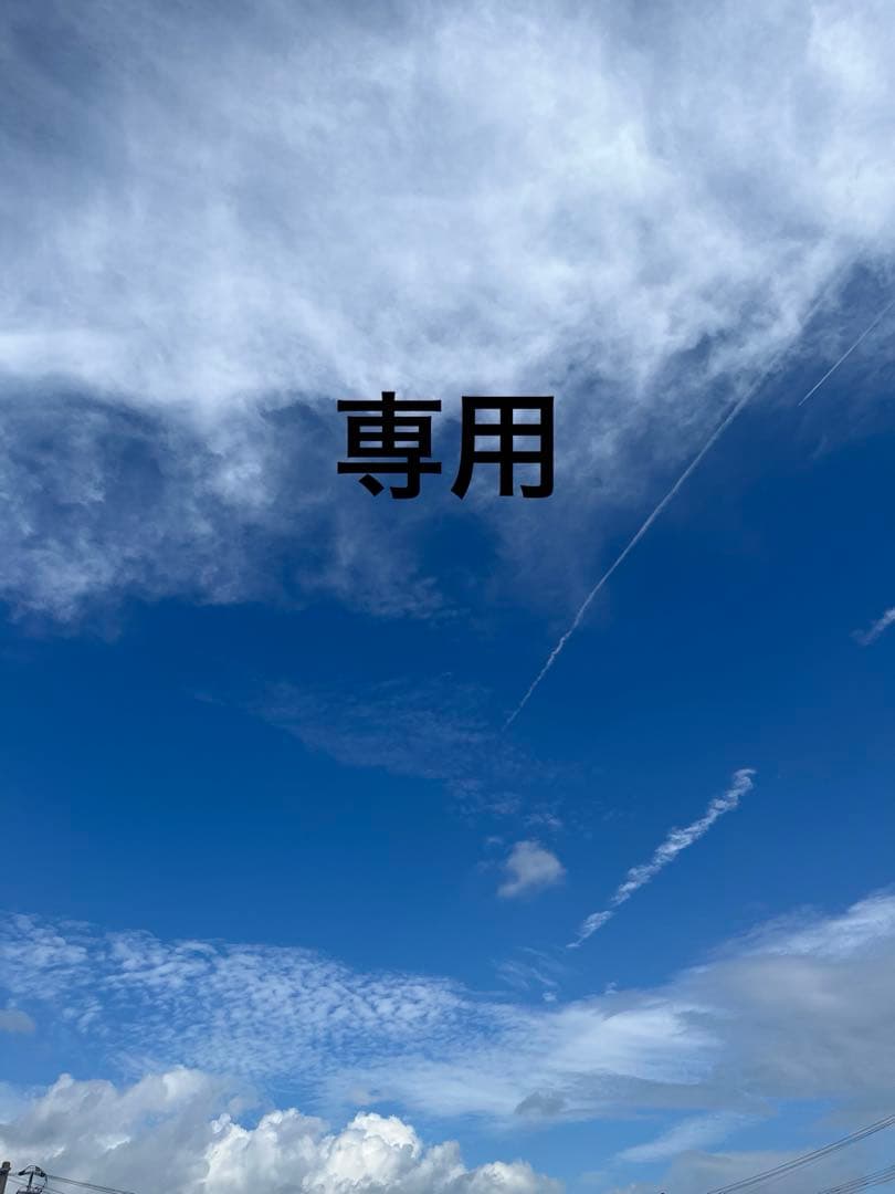 N.715 ハンドメイドネックレス 薔薇 ハート Xmas