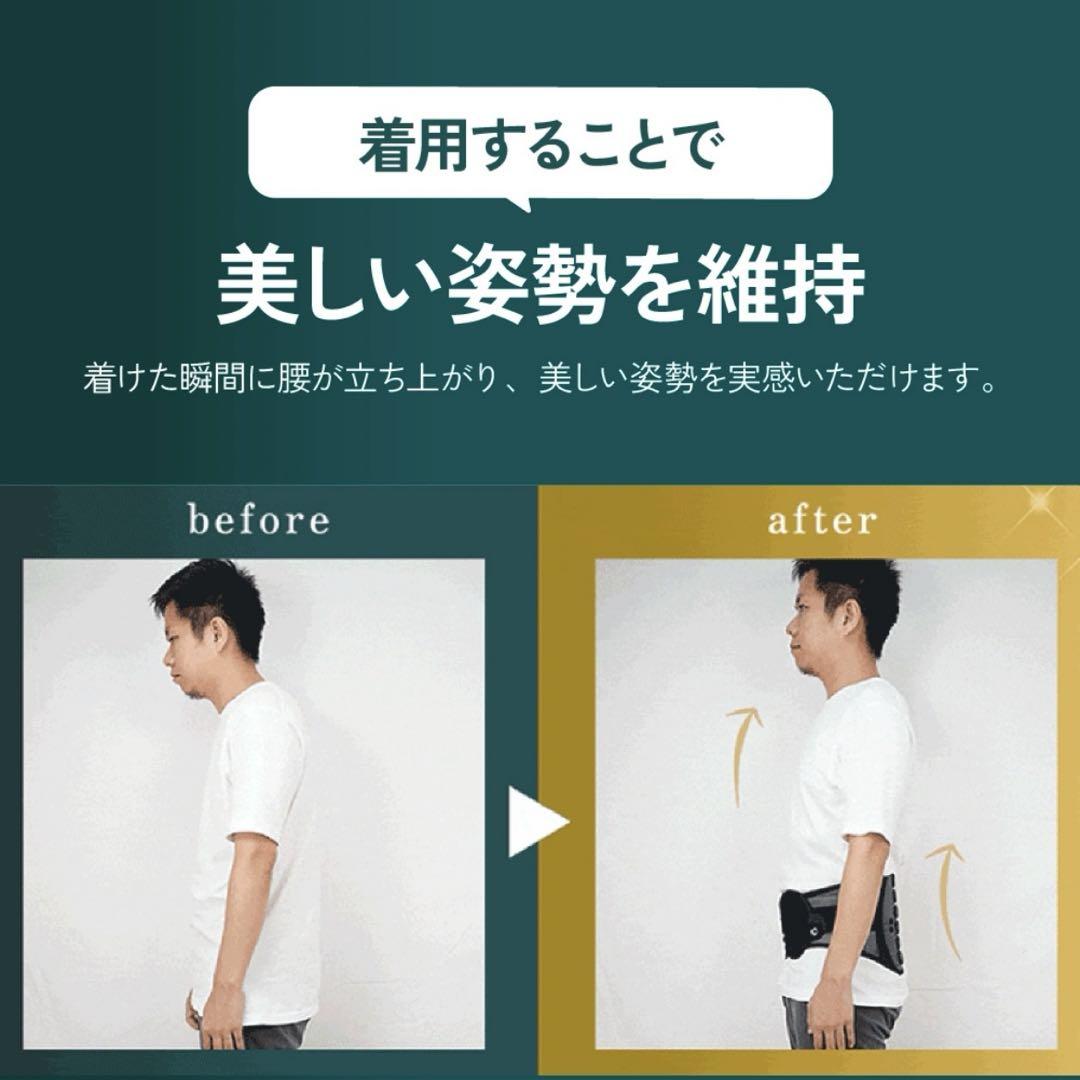 ガードナーベルト 正規品 Mサイズ