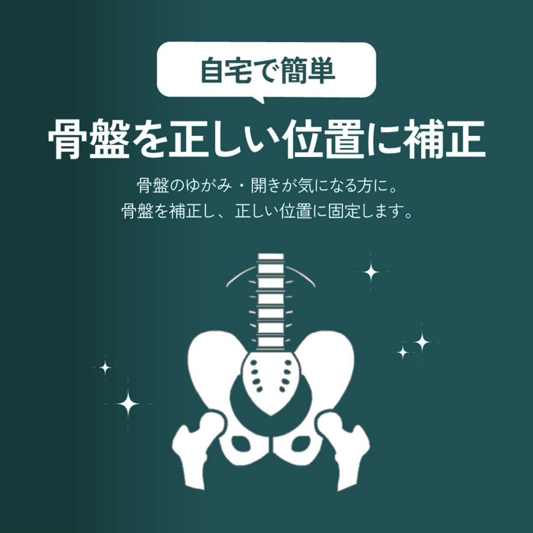 ガードナーベルト 正規品 Mサイズ