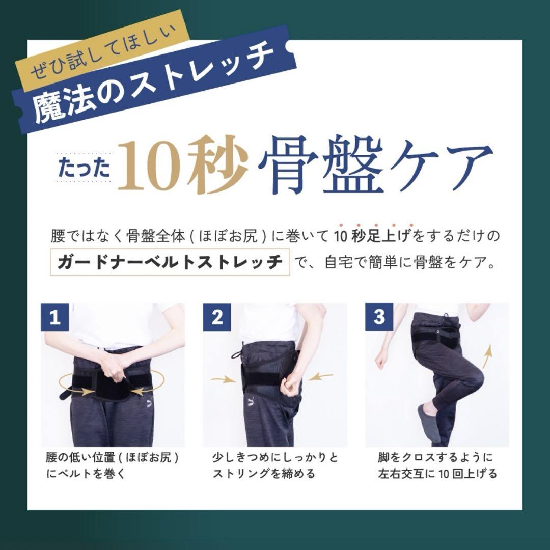 ガードナーベルト 正規品 Mサイズ