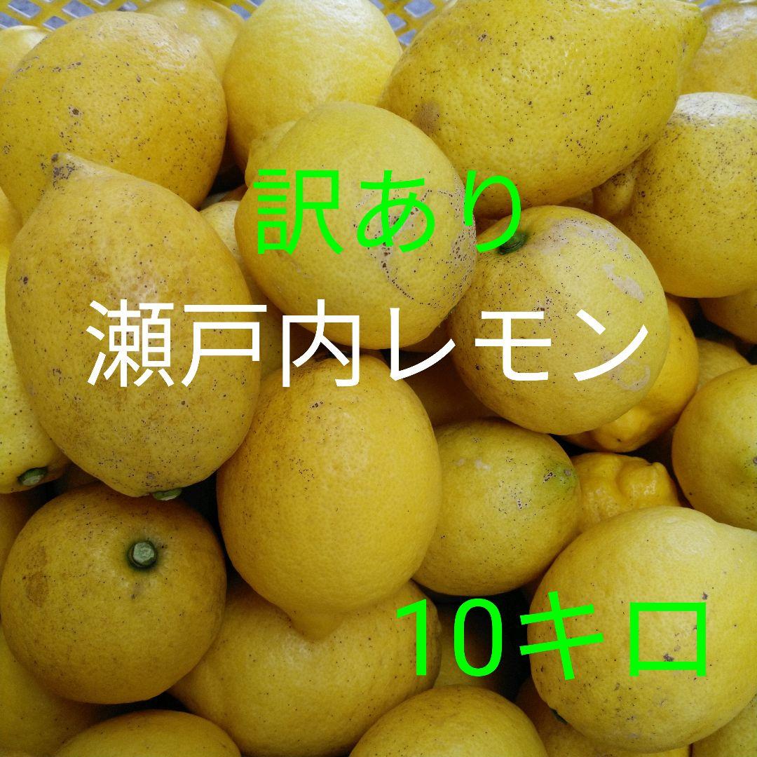 【訳あり】☆瀬戸内レモン☆　10キロ（箱込み）　広島県　瀬戸田産 5,130円