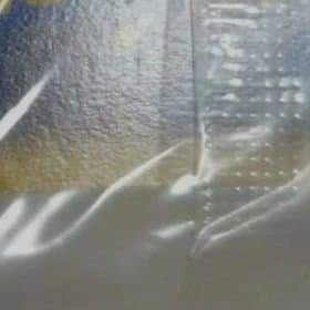 ポケパークのピカチュウ ポケパークのミズゴロウ