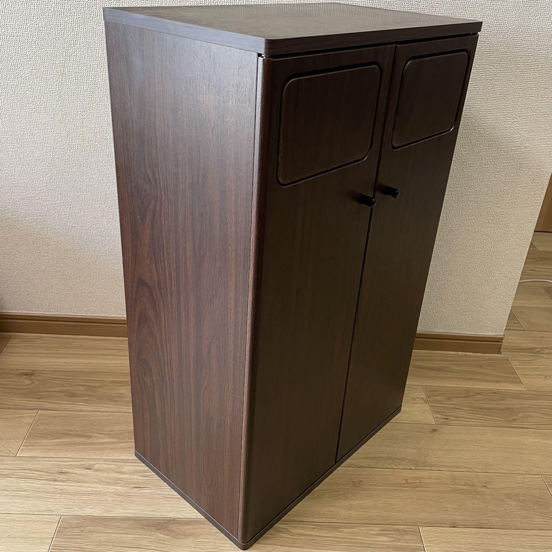【断捨離中のはずが】木製プッシュ式 分別ゴミ箱  おしゃれ 家具