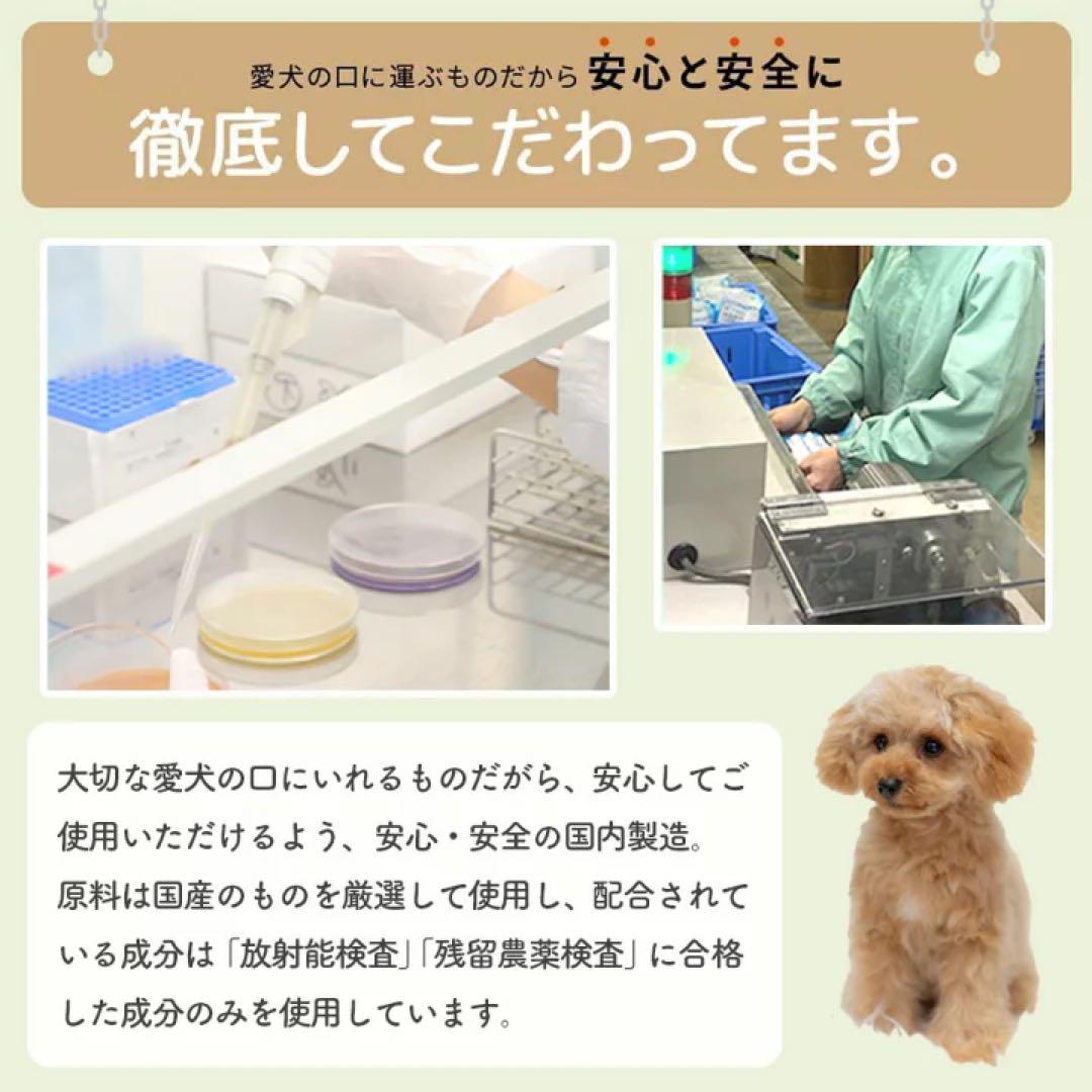 【新品】ドクターワンデル プラス Dr.WANDEL　2本セット　犬用 Amazon.co.jp: Dr.WANDEL ドクターワンデル 愛犬用デンタル ケア