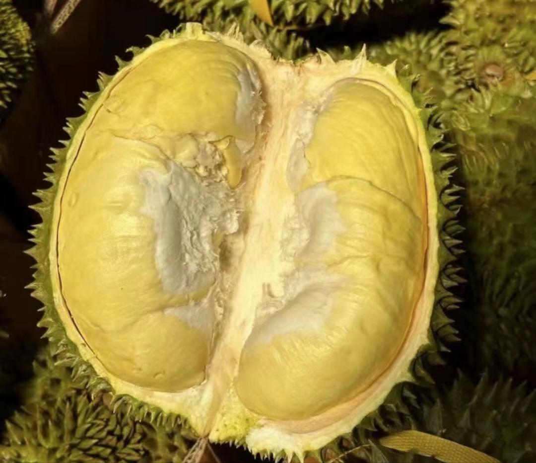 約5kg タイ産ドリアン モントーン 金枕榴蓮 いい状態