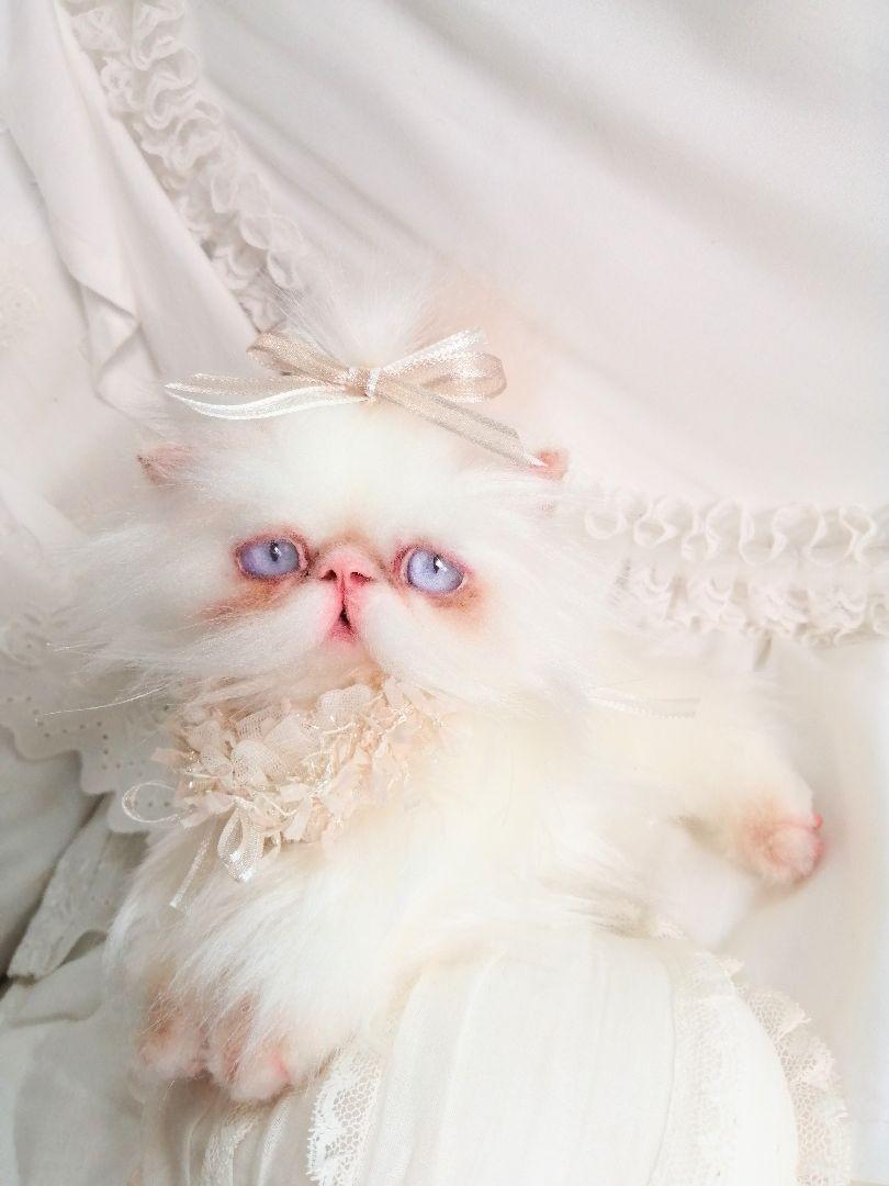 エキゾチックロングヘア♡一歳の子猫ちゃん♡美人さん♡アートドール♡ぬいぐるみ♡