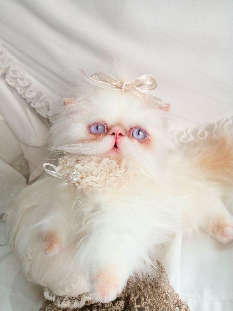 エキゾチックロングヘア♡一歳の子猫ちゃん♡美人さん♡アートドール♡ぬいぐるみ♡