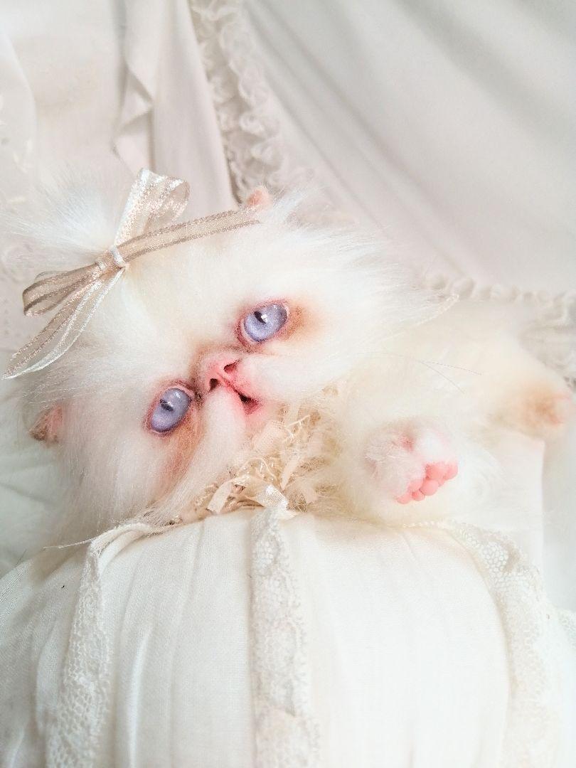 エキゾチックロングヘア♡一歳の子猫ちゃん♡美人さん♡アートドール♡ぬいぐるみ♡