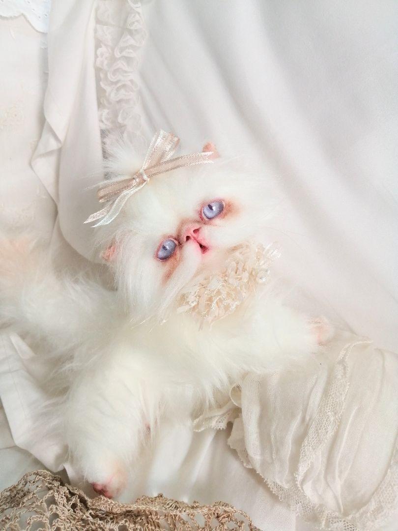 エキゾチックロングヘア♡一歳の子猫ちゃん♡美人さん♡アートドール♡ぬいぐるみ♡