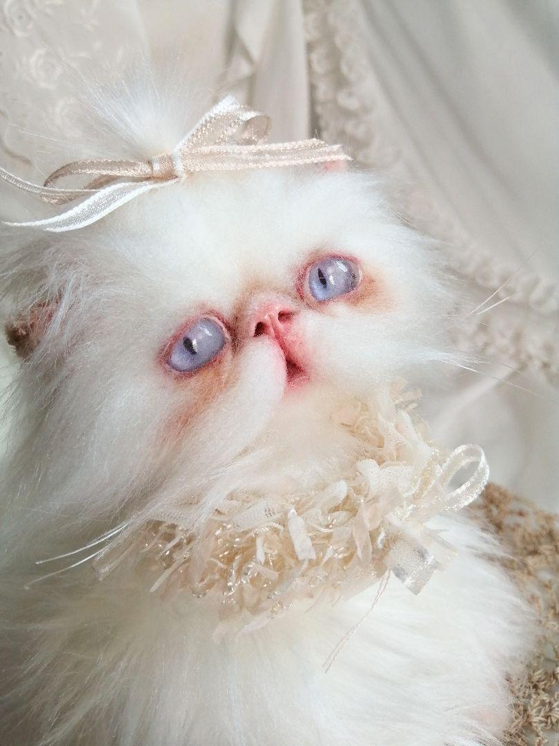 エキゾチックロングヘア♡一歳の子猫ちゃん♡美人さん♡アートドール♡ぬいぐるみ♡