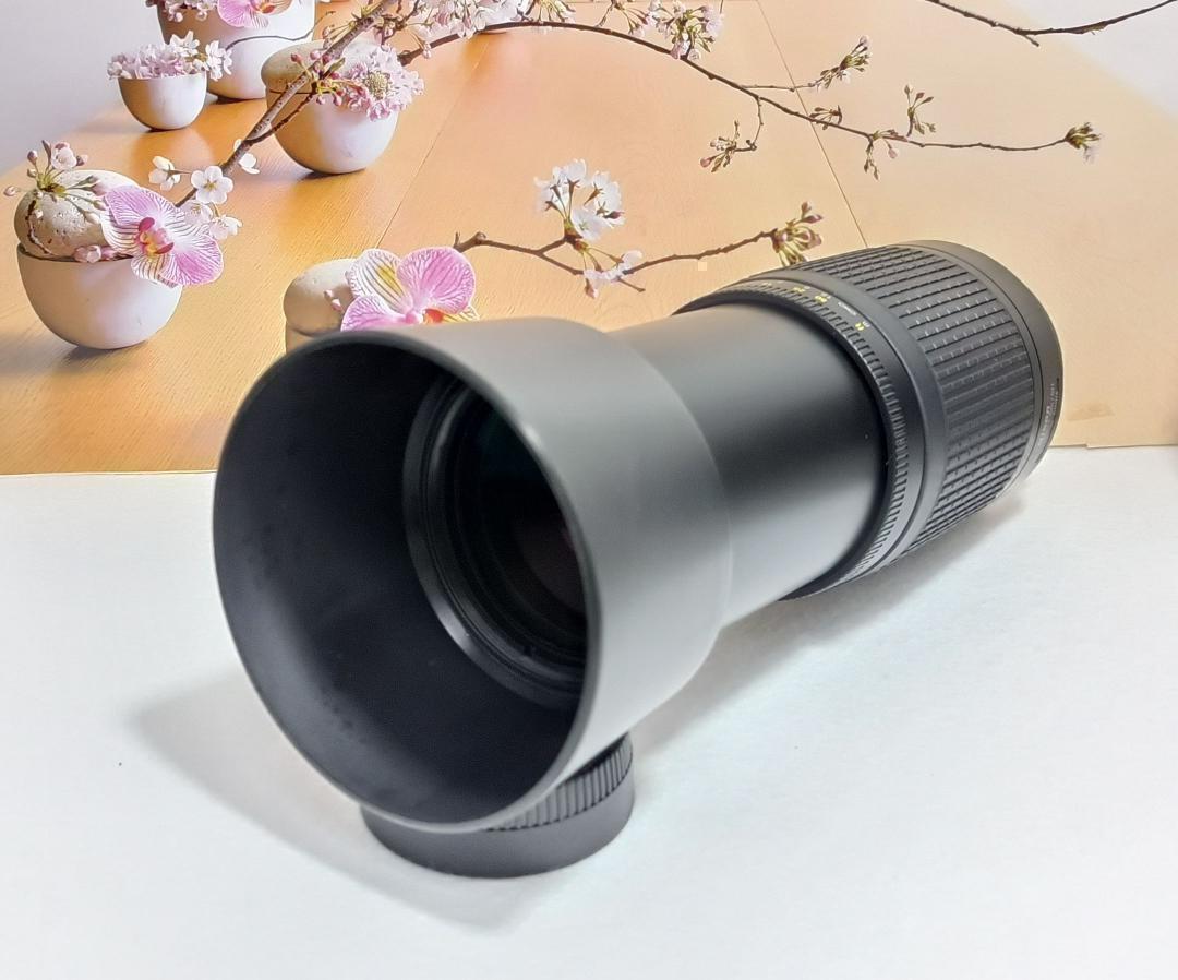 Nikon ニコン 超望遠レンズ 迫力の300mm AF７0-300mm G