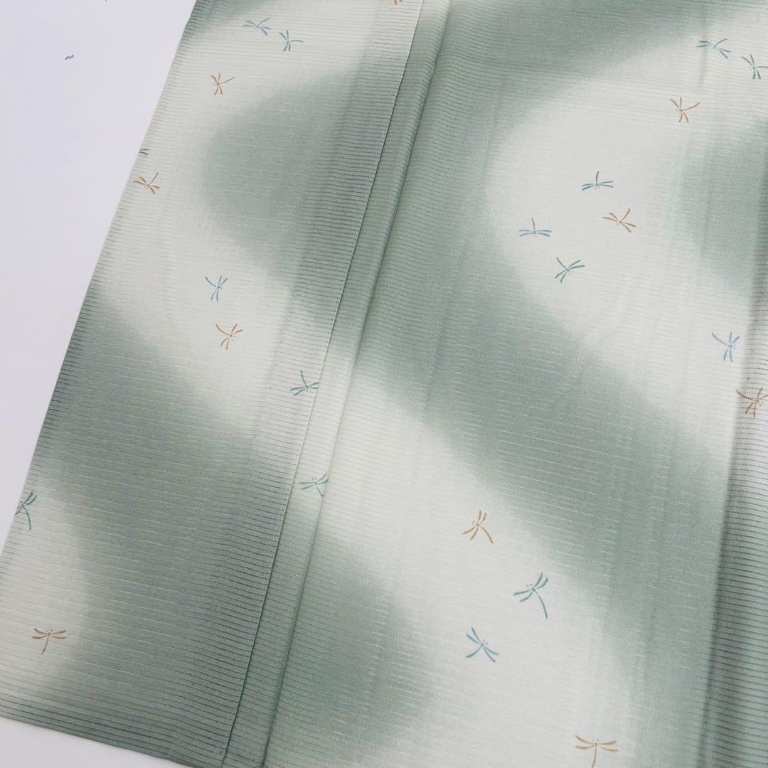 夏着物 絽 トンボ ぼかし 裄66 小紋 色味の良い素敵なデザインT-8228