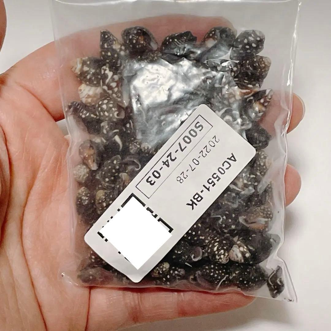 貝殻パーツ DIY 制作 工作 手芸 手作り デコレーション 材料 貝殻パーツ DIY 制作 工作 手芸 手作り デコレーション 材料