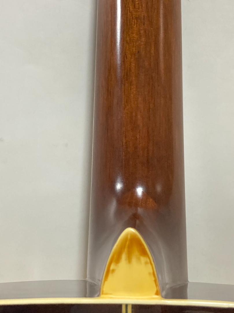 Morris アコースティックギター W-20