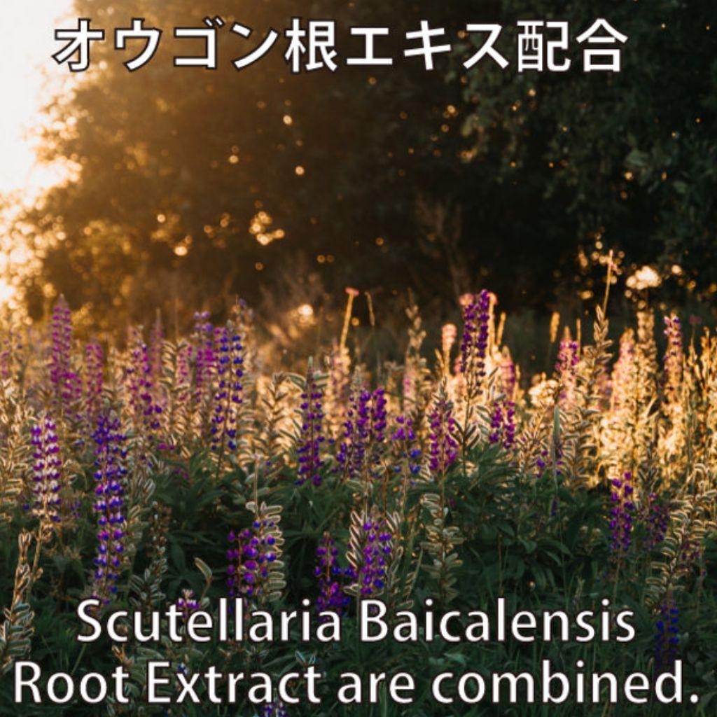 AjnEGフェイス100mL　美容液　植物由来EGF　ヒルコス（helcos）