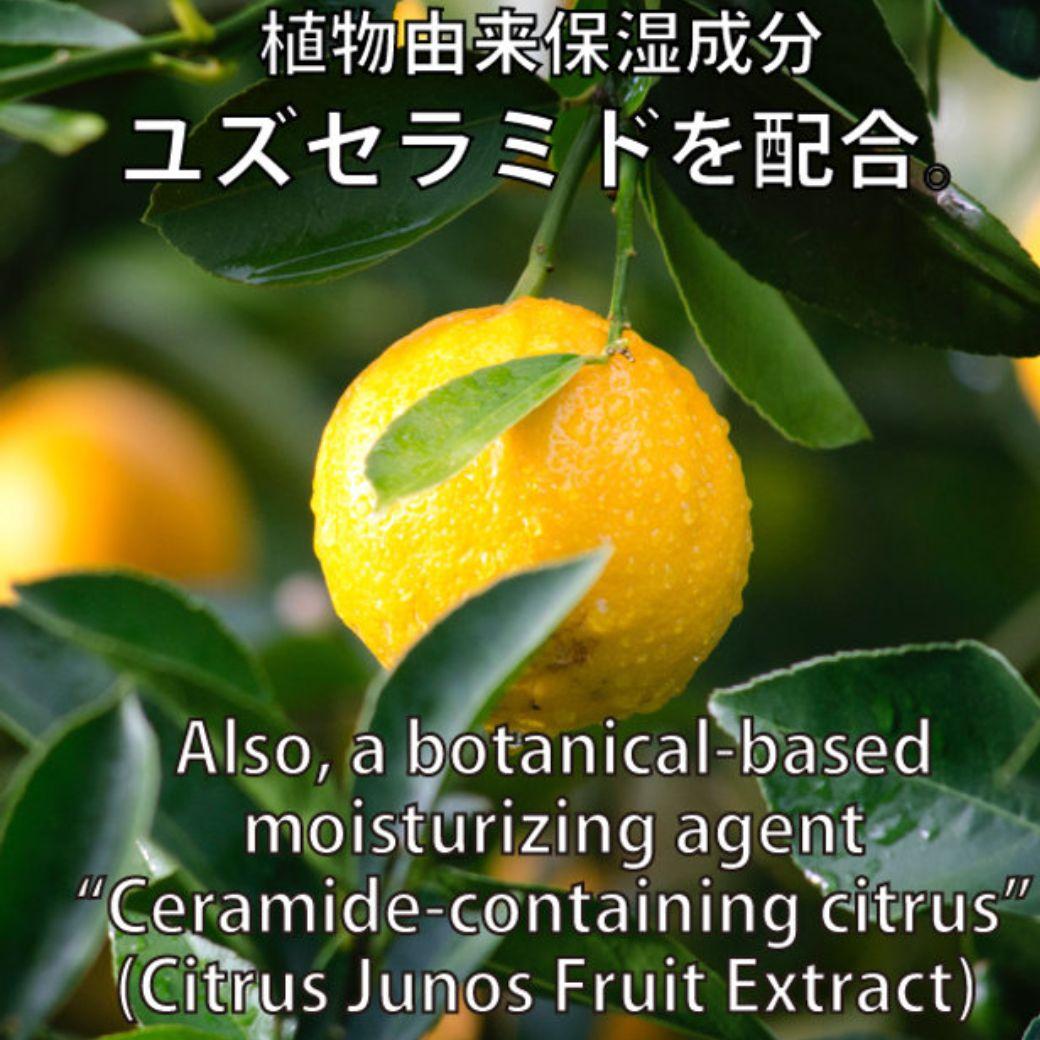 AjnEGフェイス100mL　美容液　植物由来EGF　ヒルコス（helcos）
