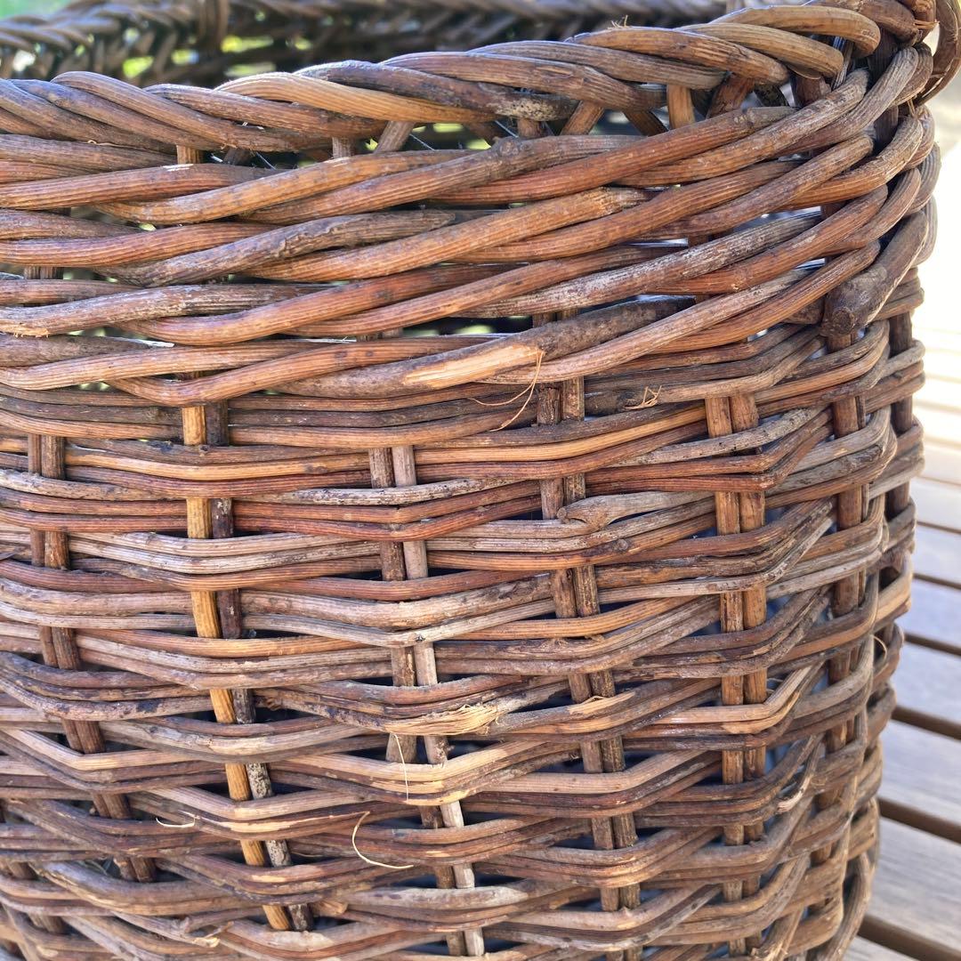 アケビ カゴ 籠 バスケット アケビ カゴ 籠 バスケット