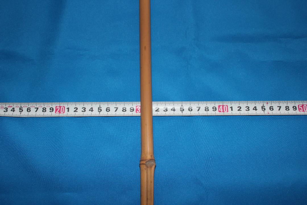 RNO41　竹杖材　布袋竹　黄門様杖もどき