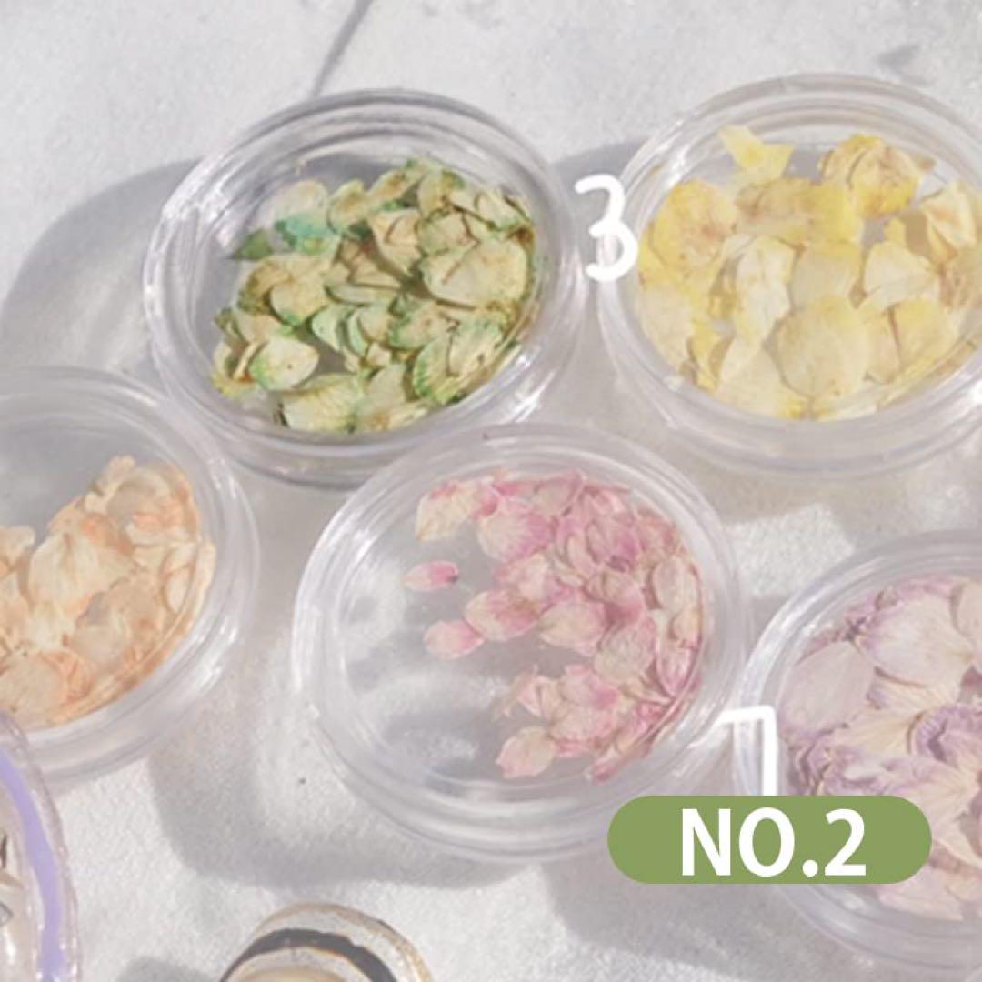 ドライフラワー ネイルパーツ 押し花 レジン用 花 デコパーツ 工房 用品 美甲