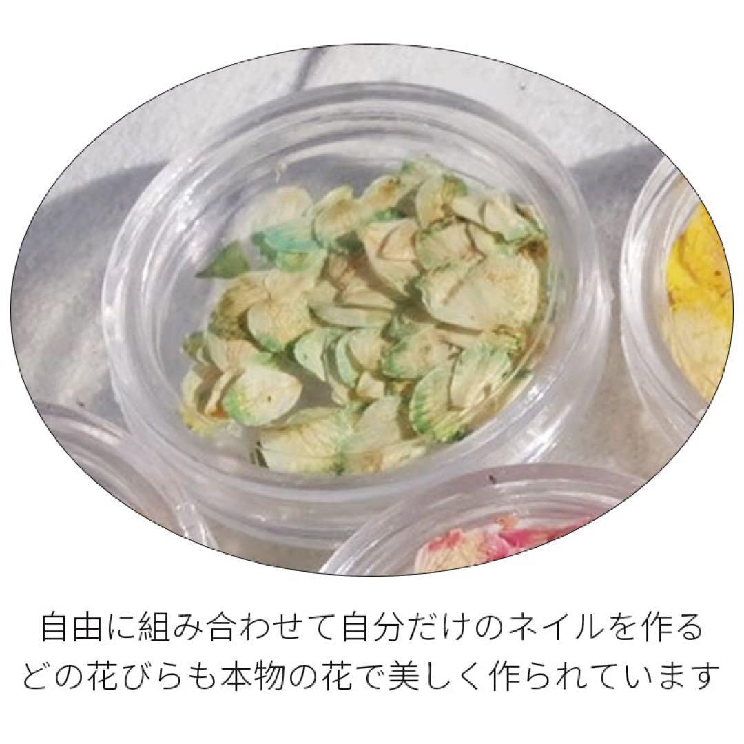 ドライフラワー ネイルパーツ 押し花 レジン用 花 デコパーツ 工房 用品 美甲