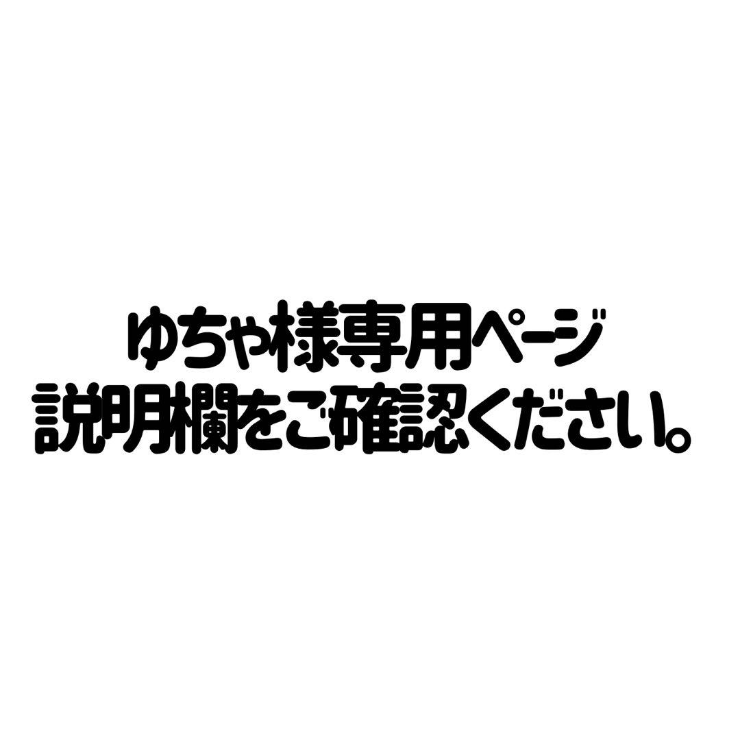 専用ページ